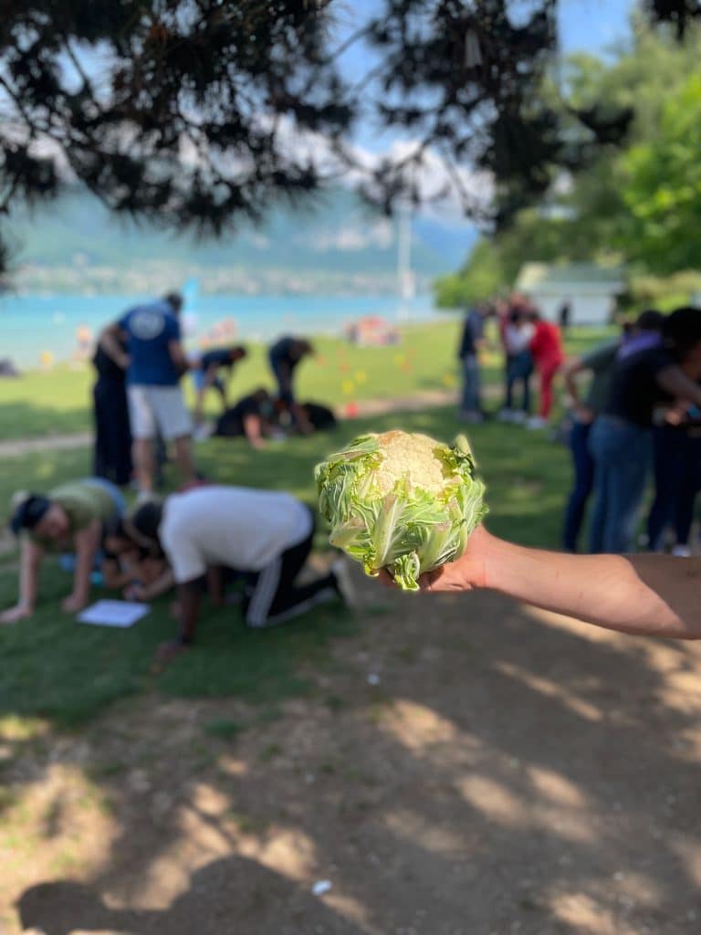photo d'un choufleur pour un jeu de groupe insolite au bord d'un lac