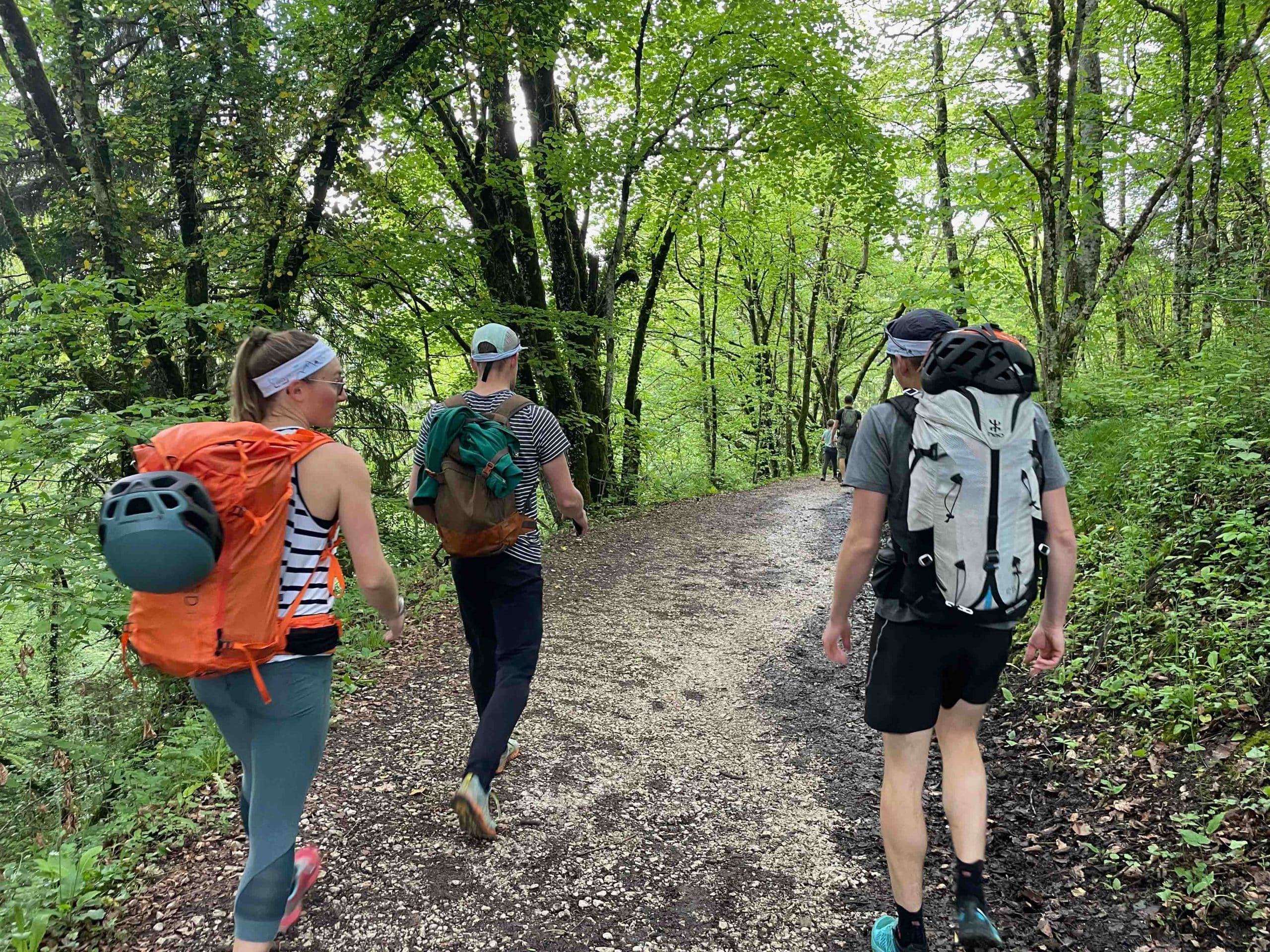 marche dans la foret